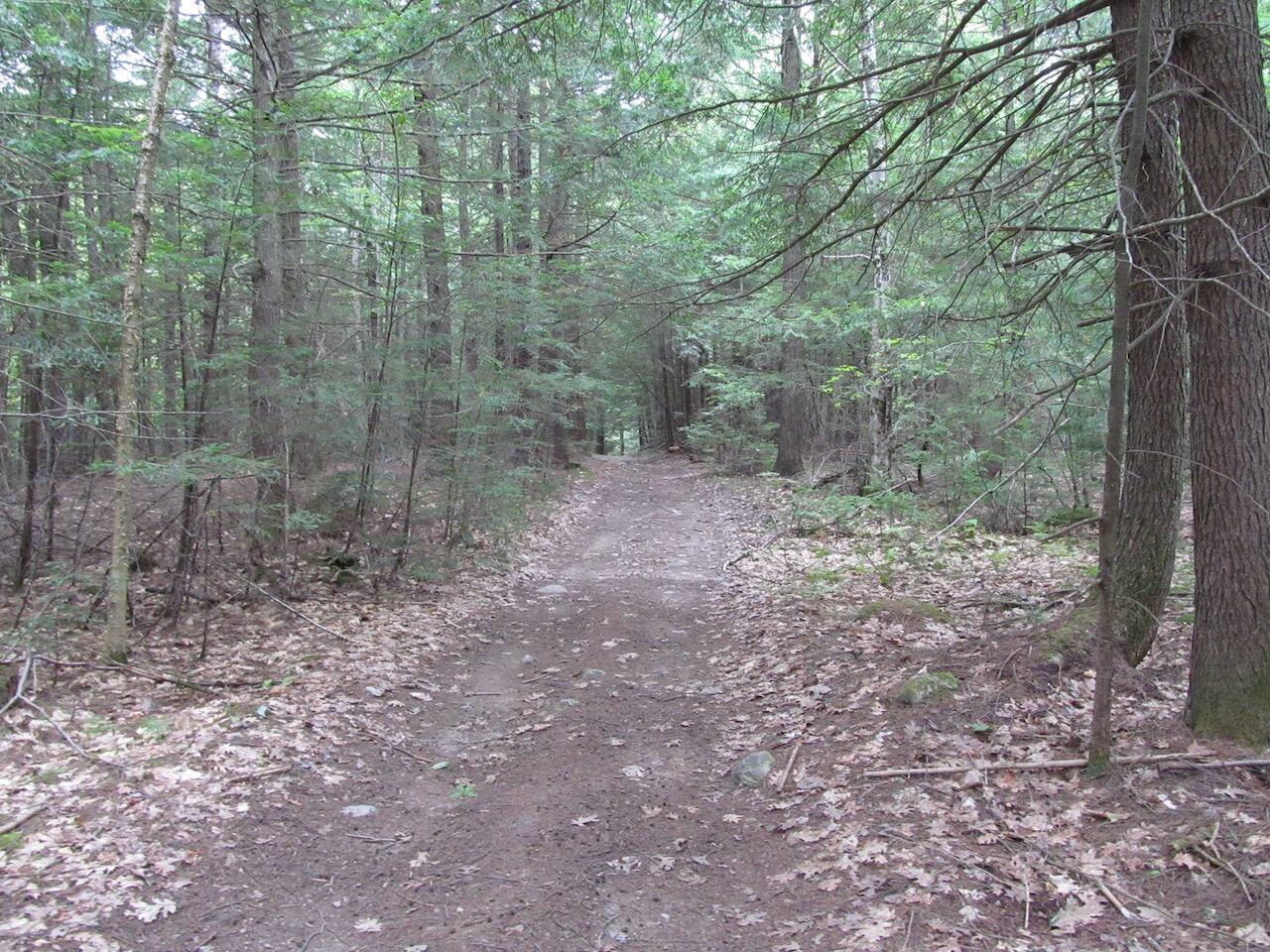 L27 Cummings Lane Property Photo 13
