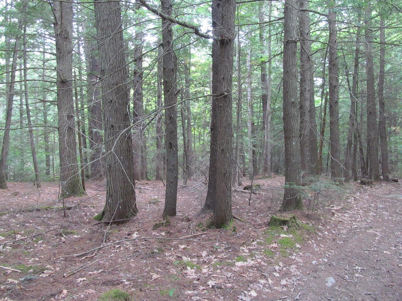 L27 Cummings Lane Property Photo 14