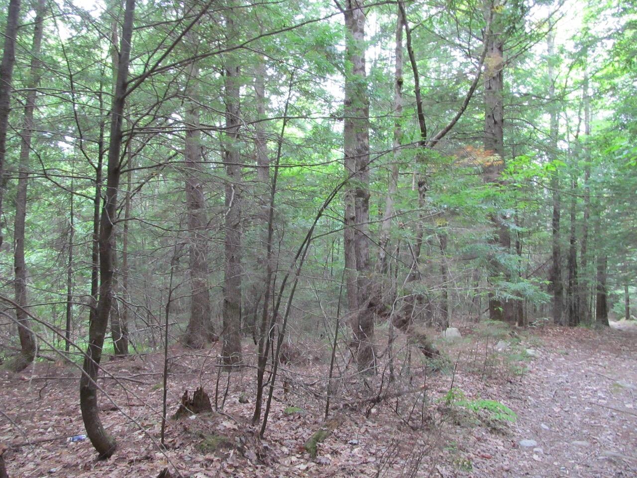 L27 Cummings Lane Property Photo 15