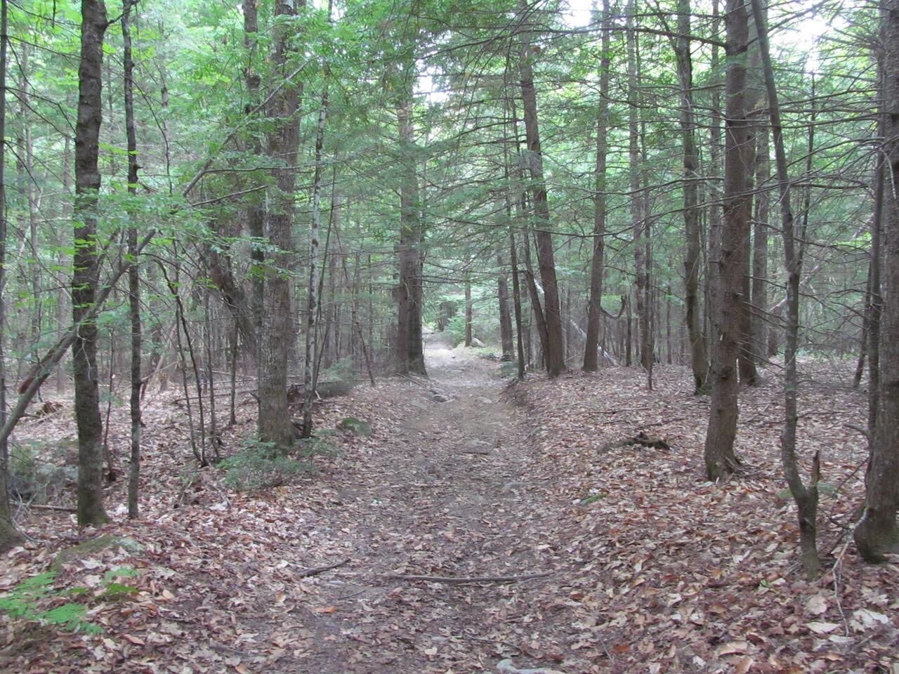 L27 Cummings Lane Property Photo 16