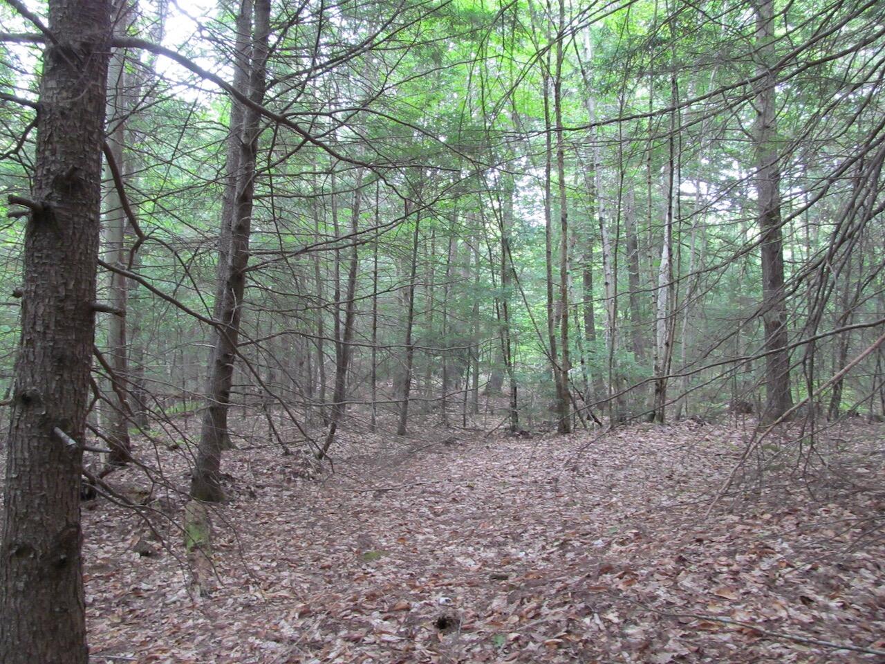 L27 Cummings Lane Property Photo 17