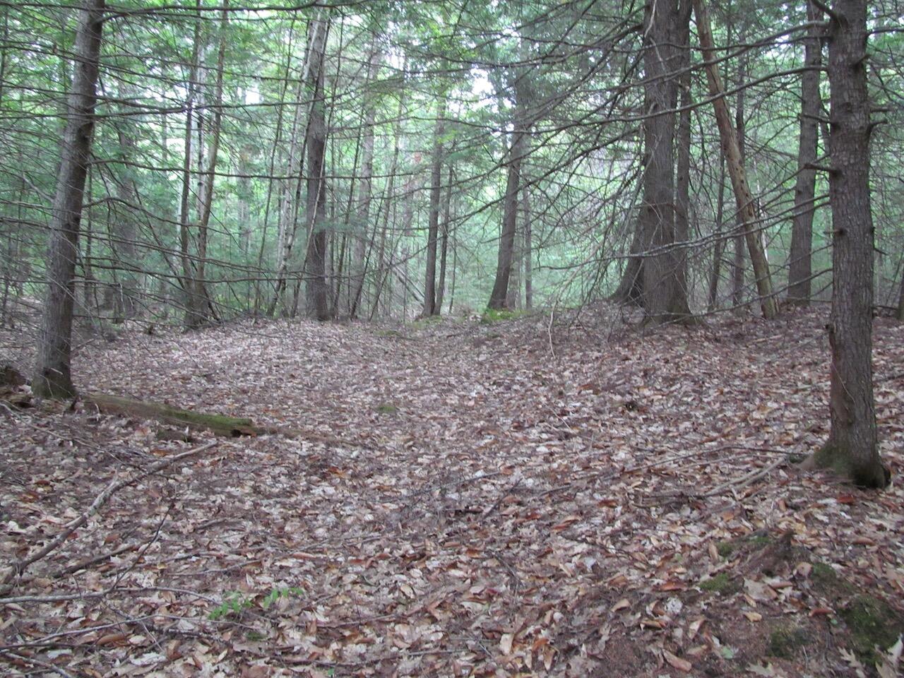 L27 Cummings Lane Property Photo 18