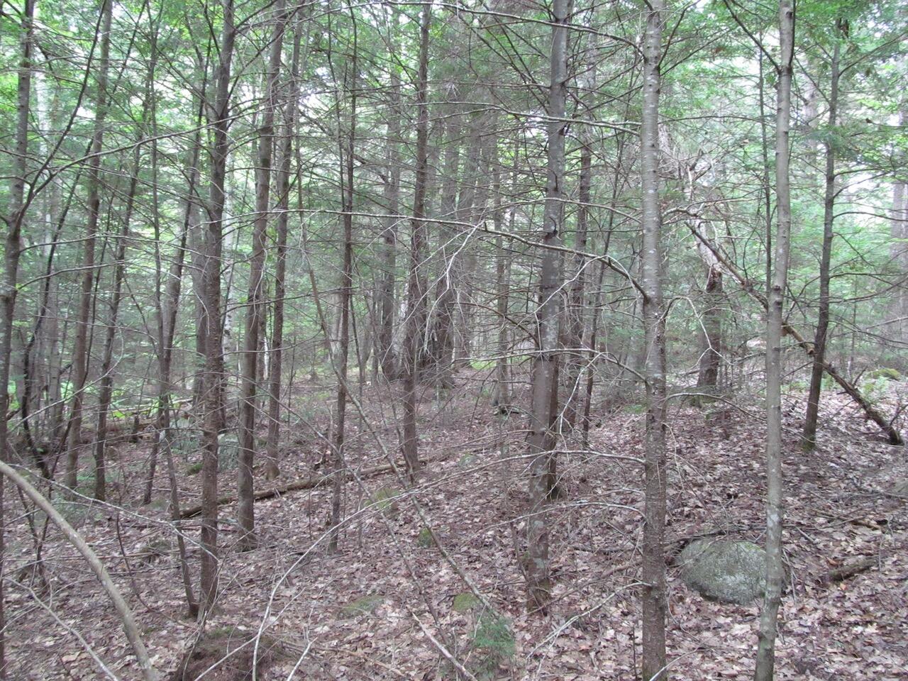 L27 Cummings Lane Property Photo 20