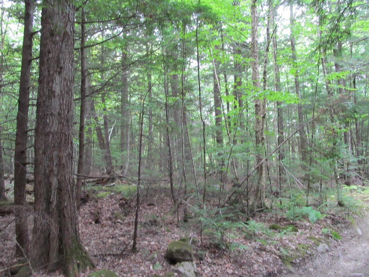 L27 Cummings Lane Property Photo 21