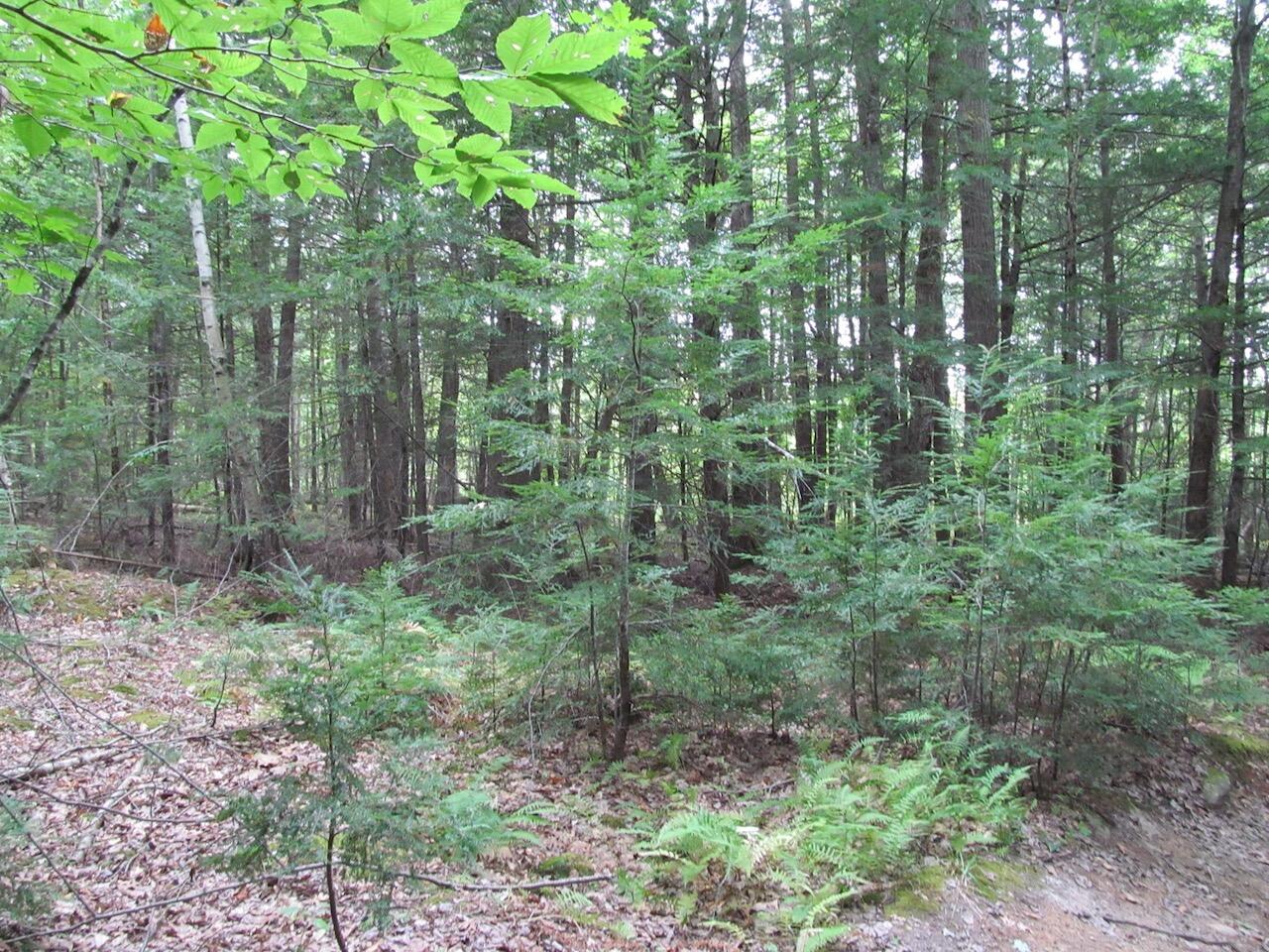 L27 Cummings Lane Property Photo 22