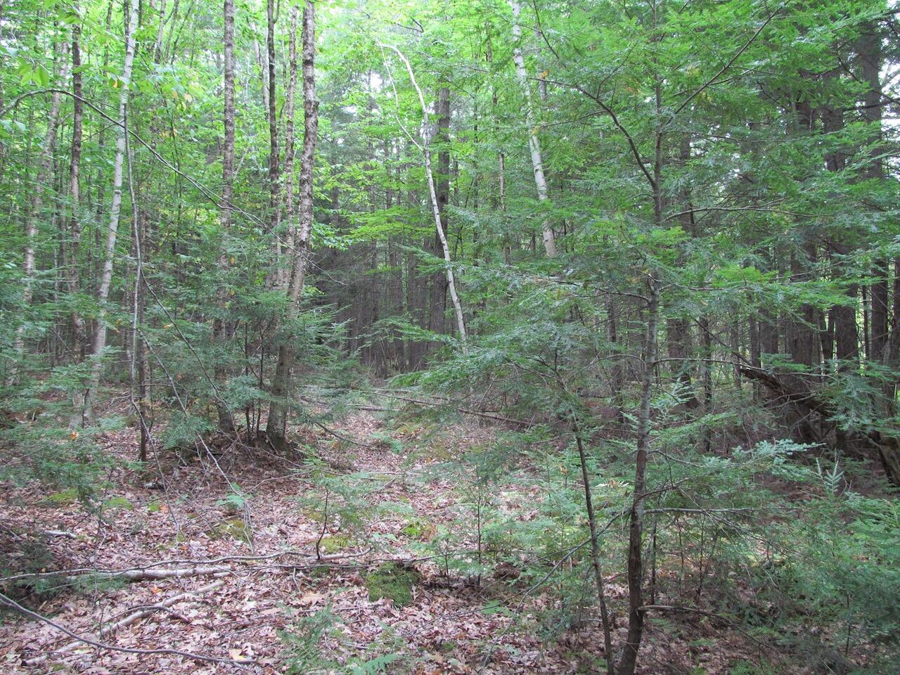 L27 Cummings Lane Property Photo 23
