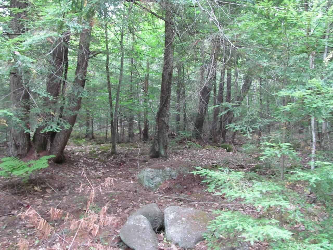 L27 Cummings Lane Property Photo 24