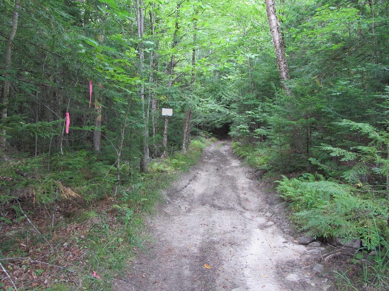 L27 Cummings Lane Property Photo 25