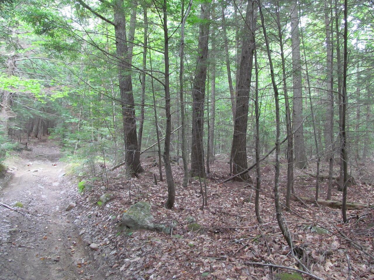 L27 Cummings Lane Property Photo 28