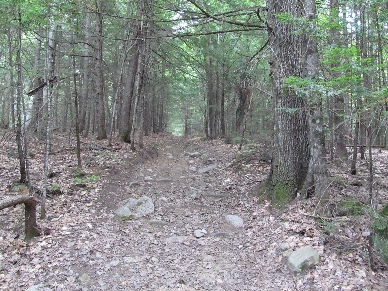 L27 Cummings Lane Property Photo 29