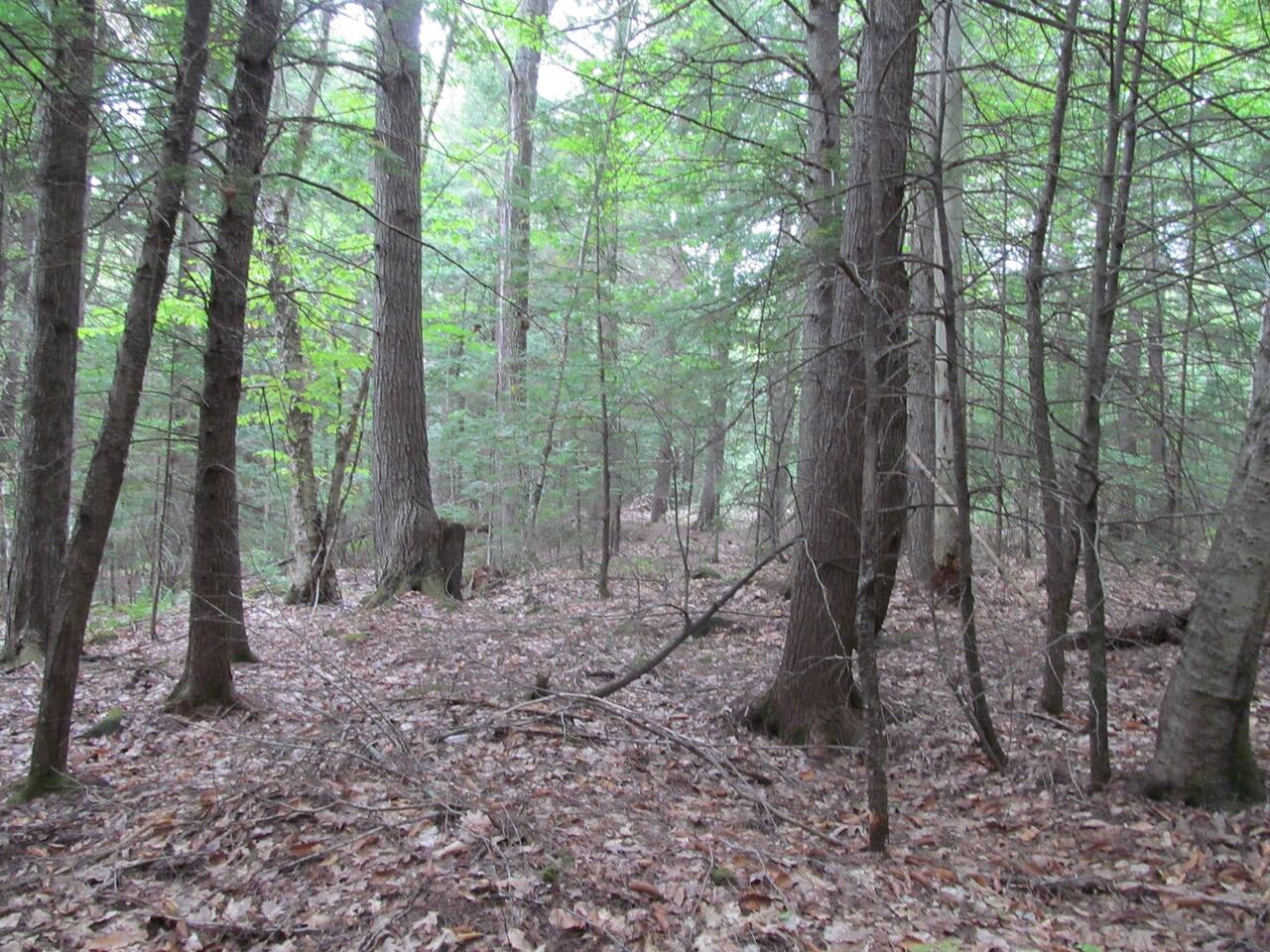 L27 Cummings Lane Property Photo 31