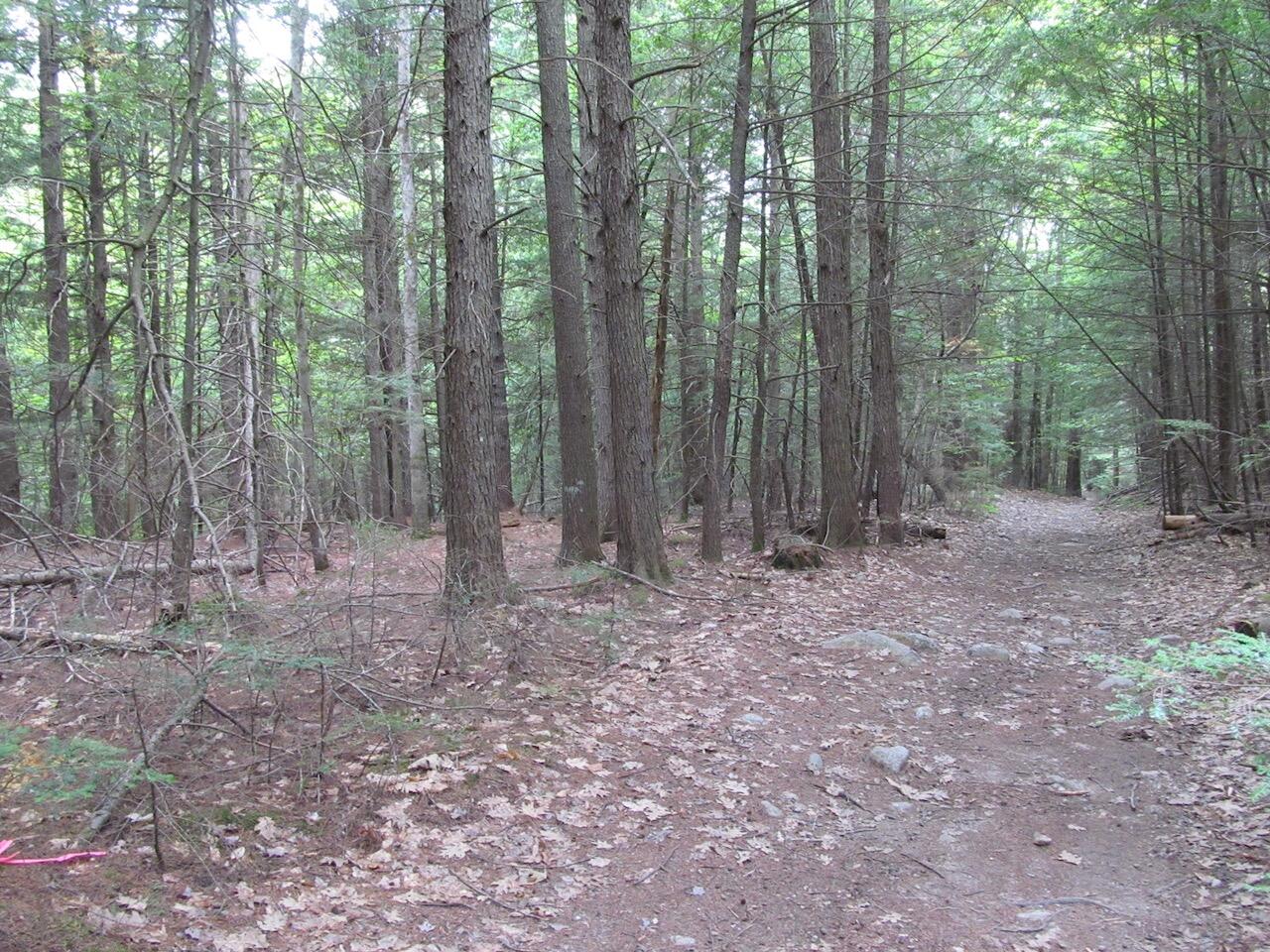 L27 Cummings Lane Property Photo 33