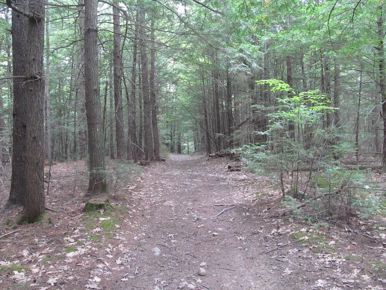 L27 Cummings Lane Property Photo 34