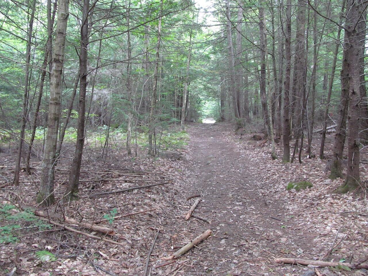 L27 Cummings Lane Property Photo 35