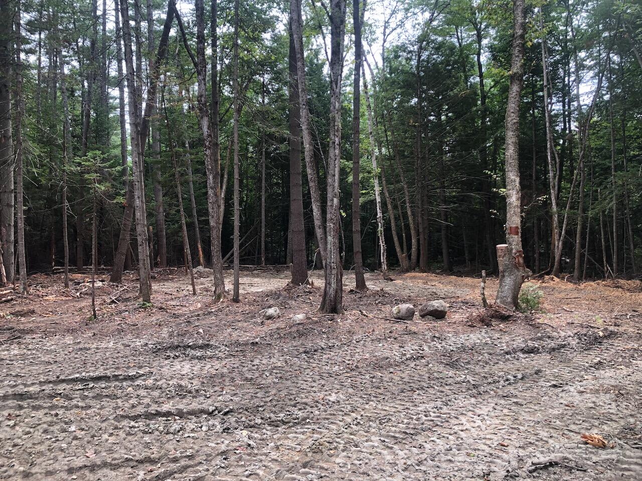 L27 Cummings Lane Property Photo 39