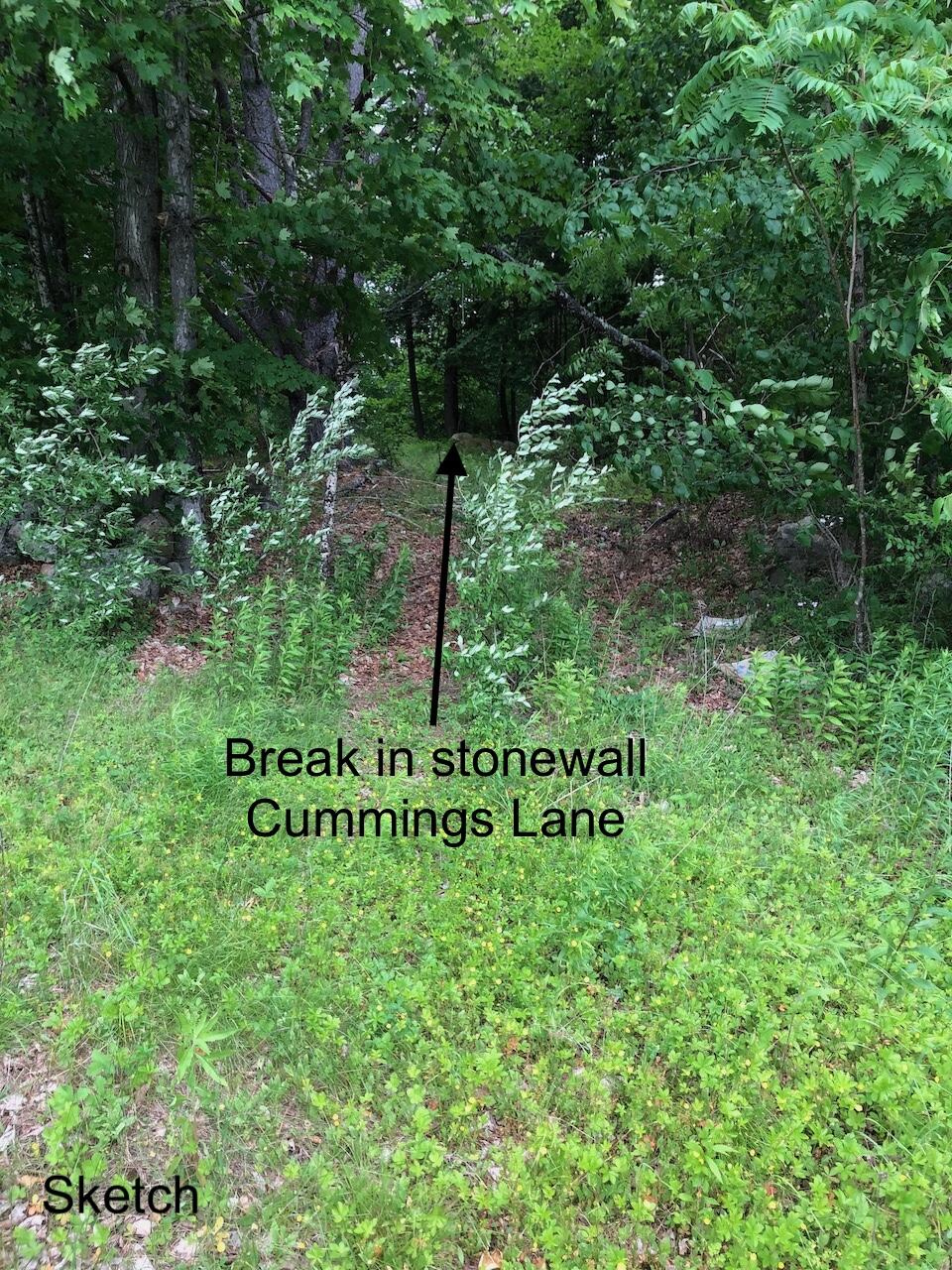 L27 Cummings Lane Property Photo 47