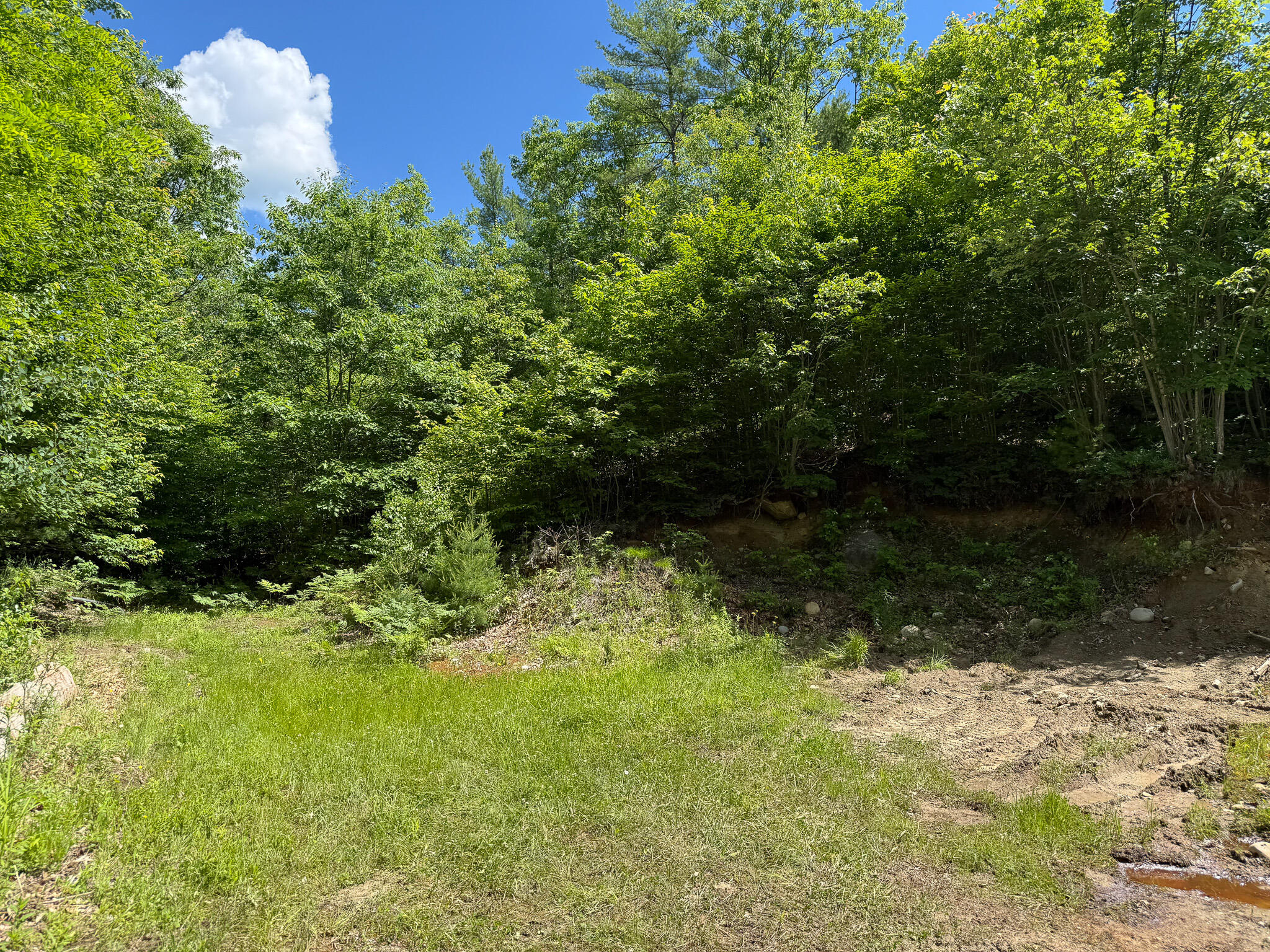Lot 9 Wyman Hill Road Lot 9 Property Photo 8
