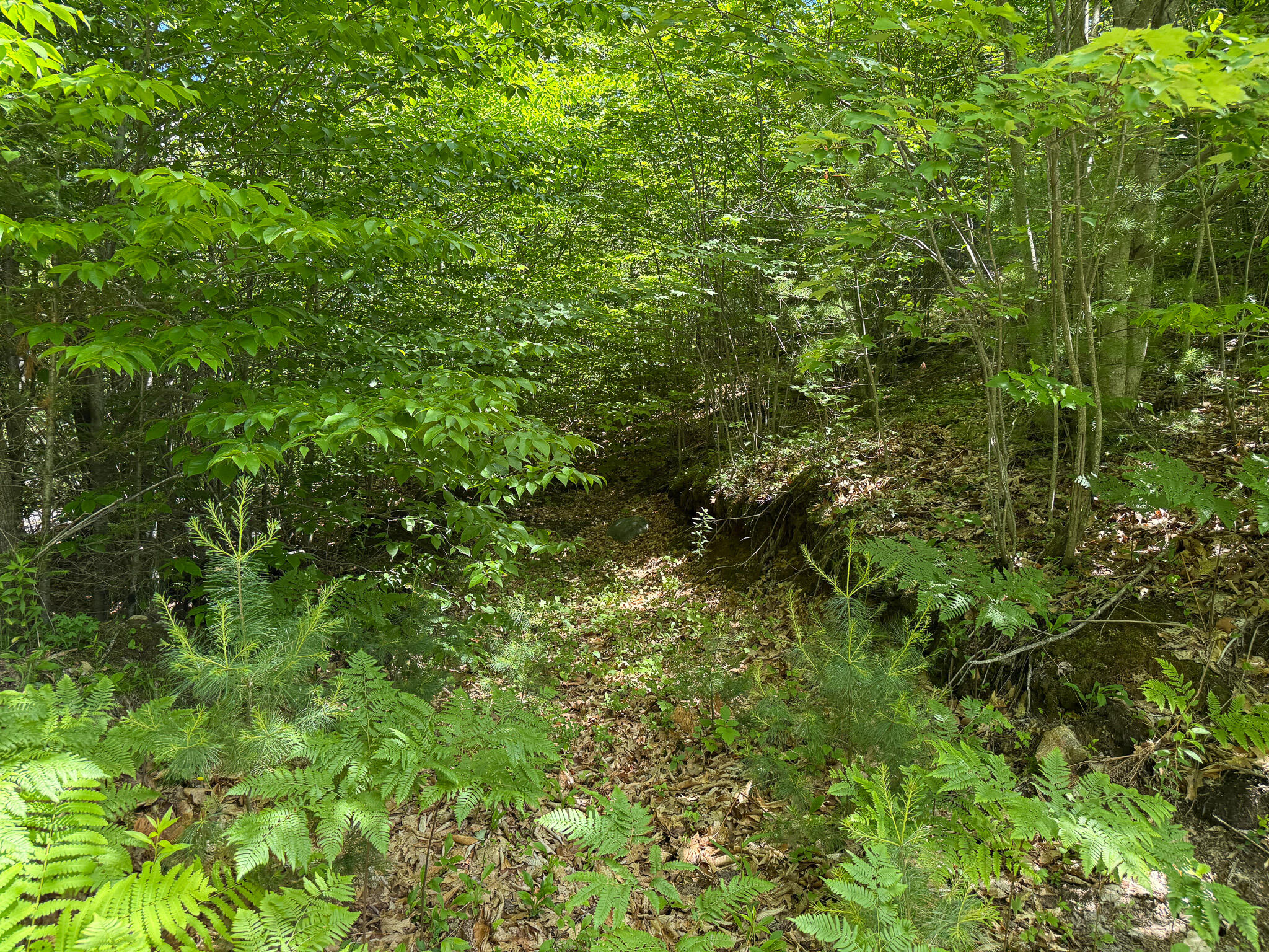 Lot 9 Wyman Hill Road Lot 9 Property Photo 9