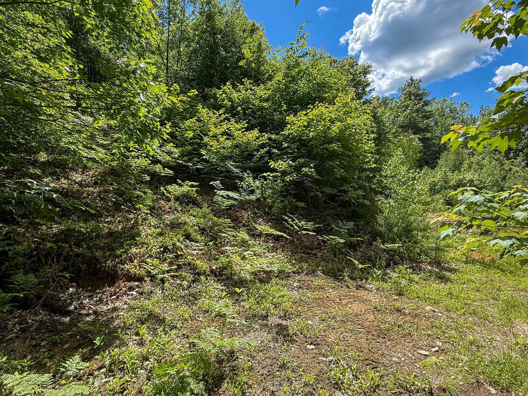 Lot 9 Wyman Hill Road Lot 9 Property Photo 10