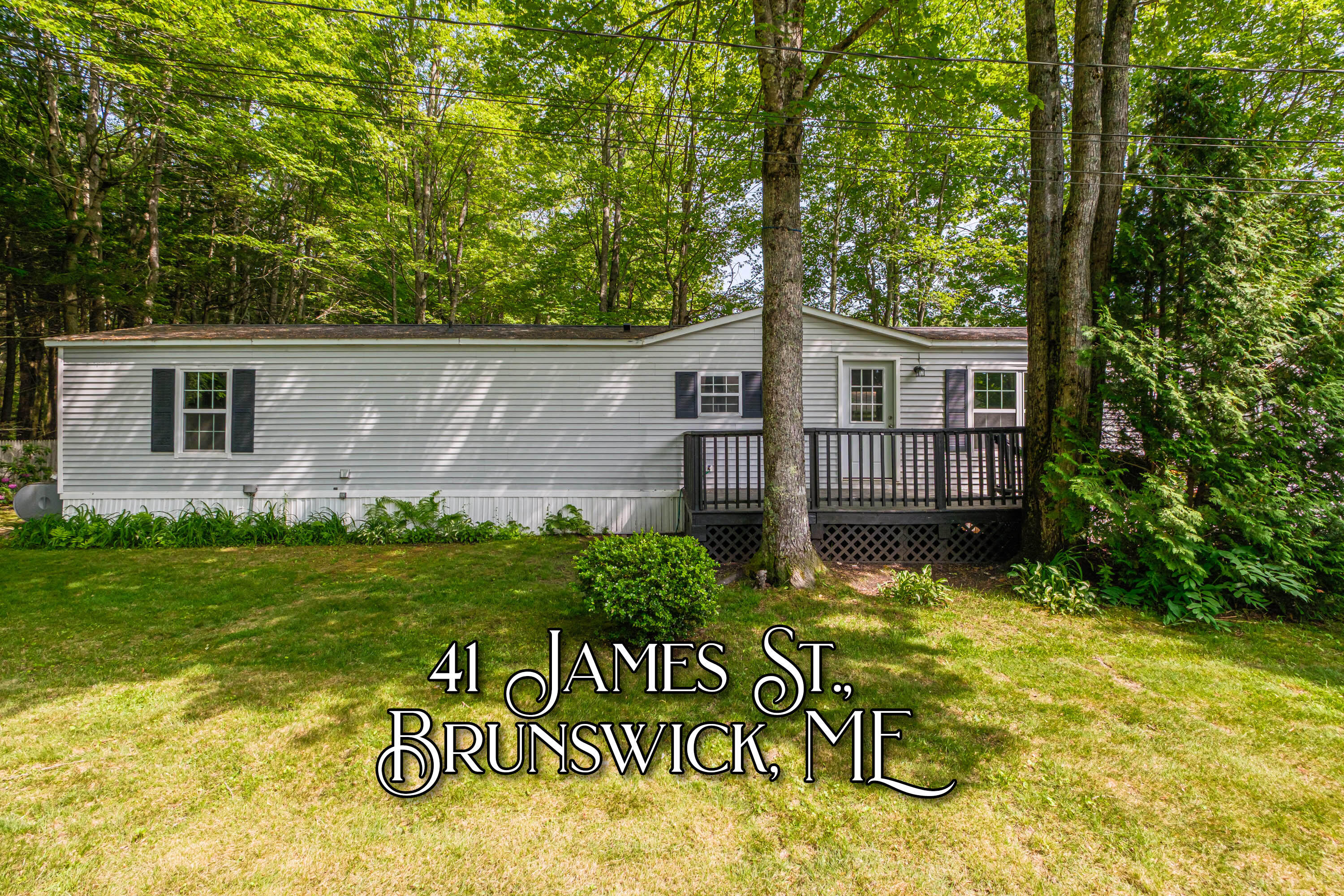41 James Street Property Photo 1