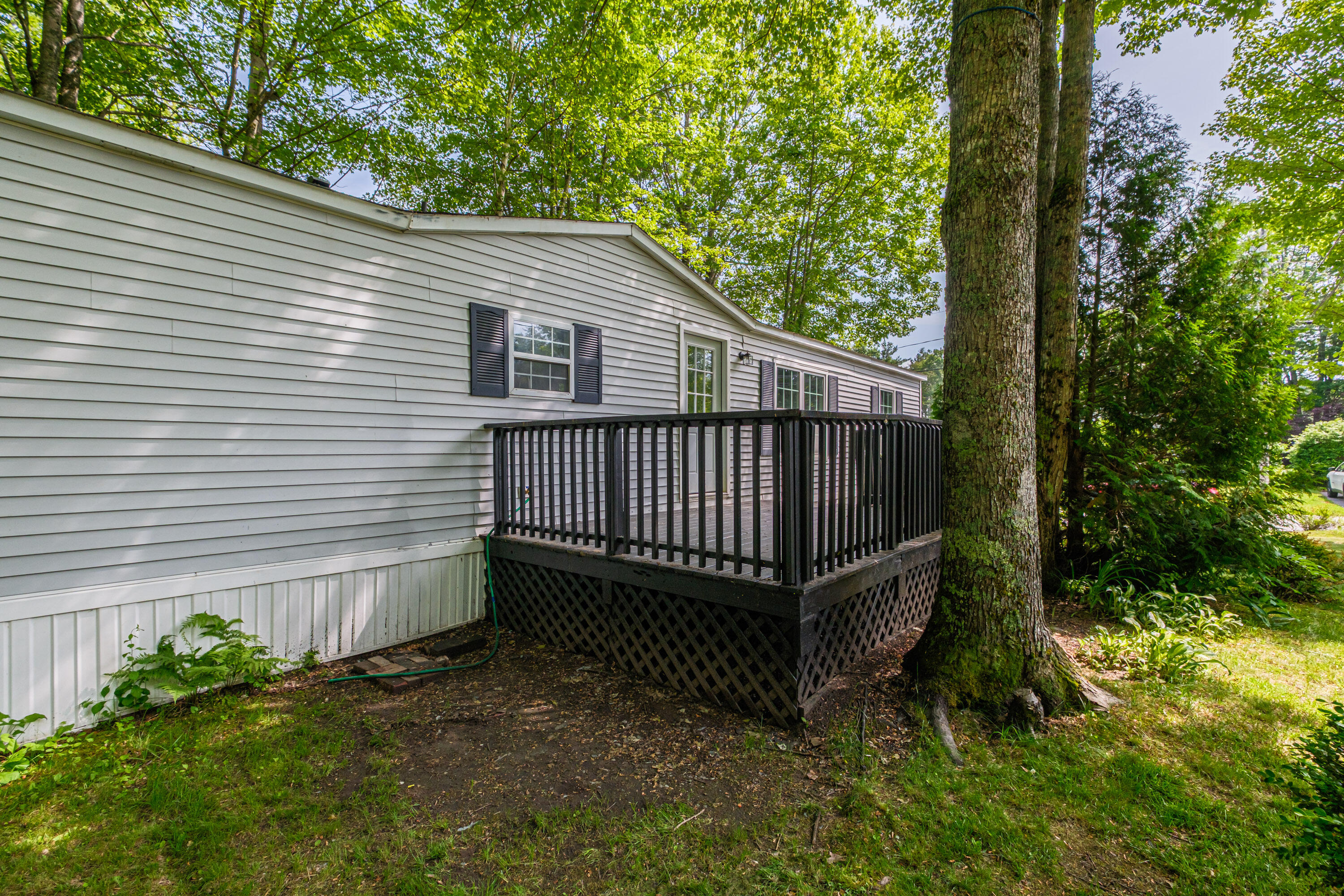 41 James Street Property Photo 49