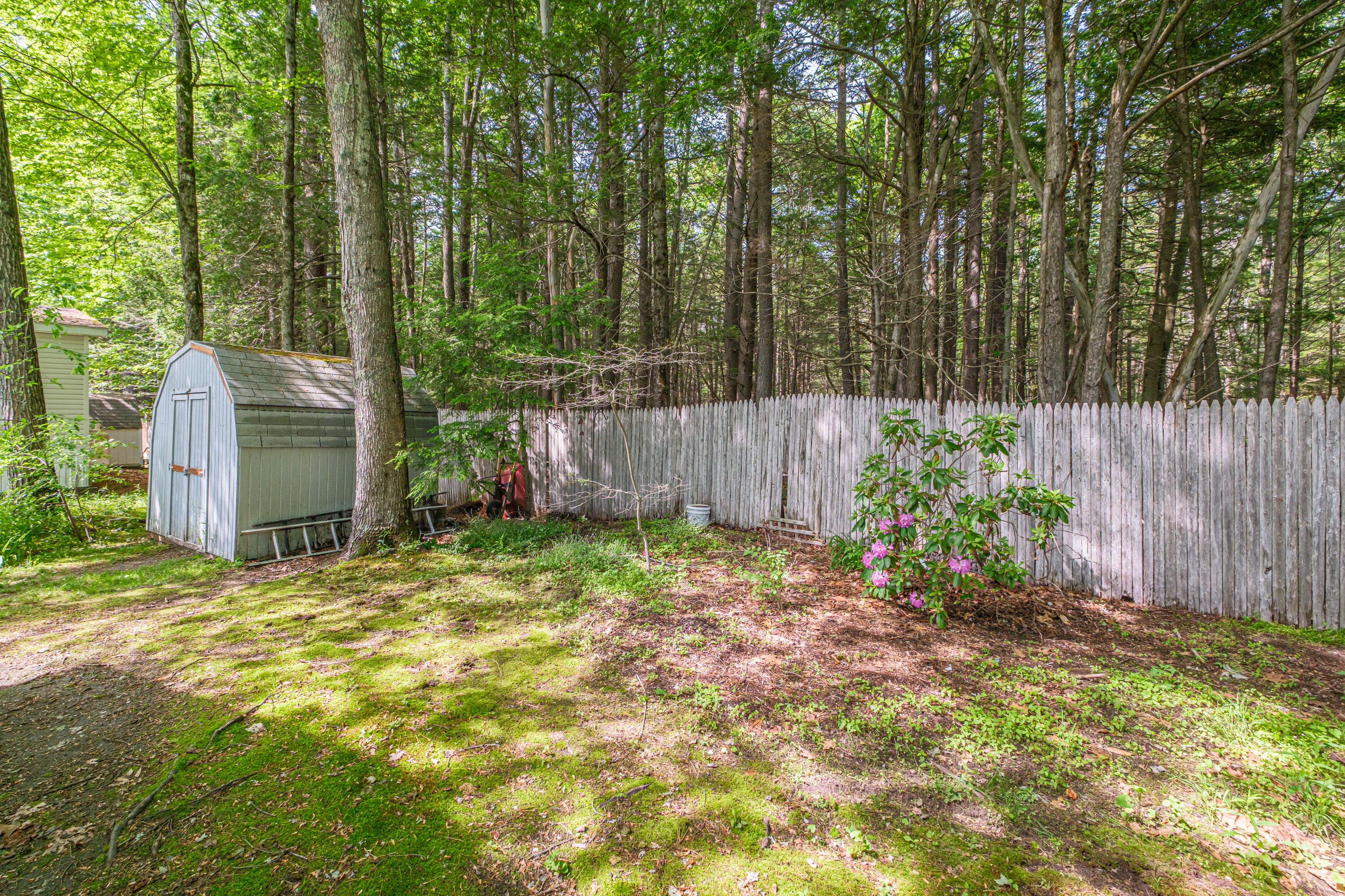 41 James Street Property Photo 54