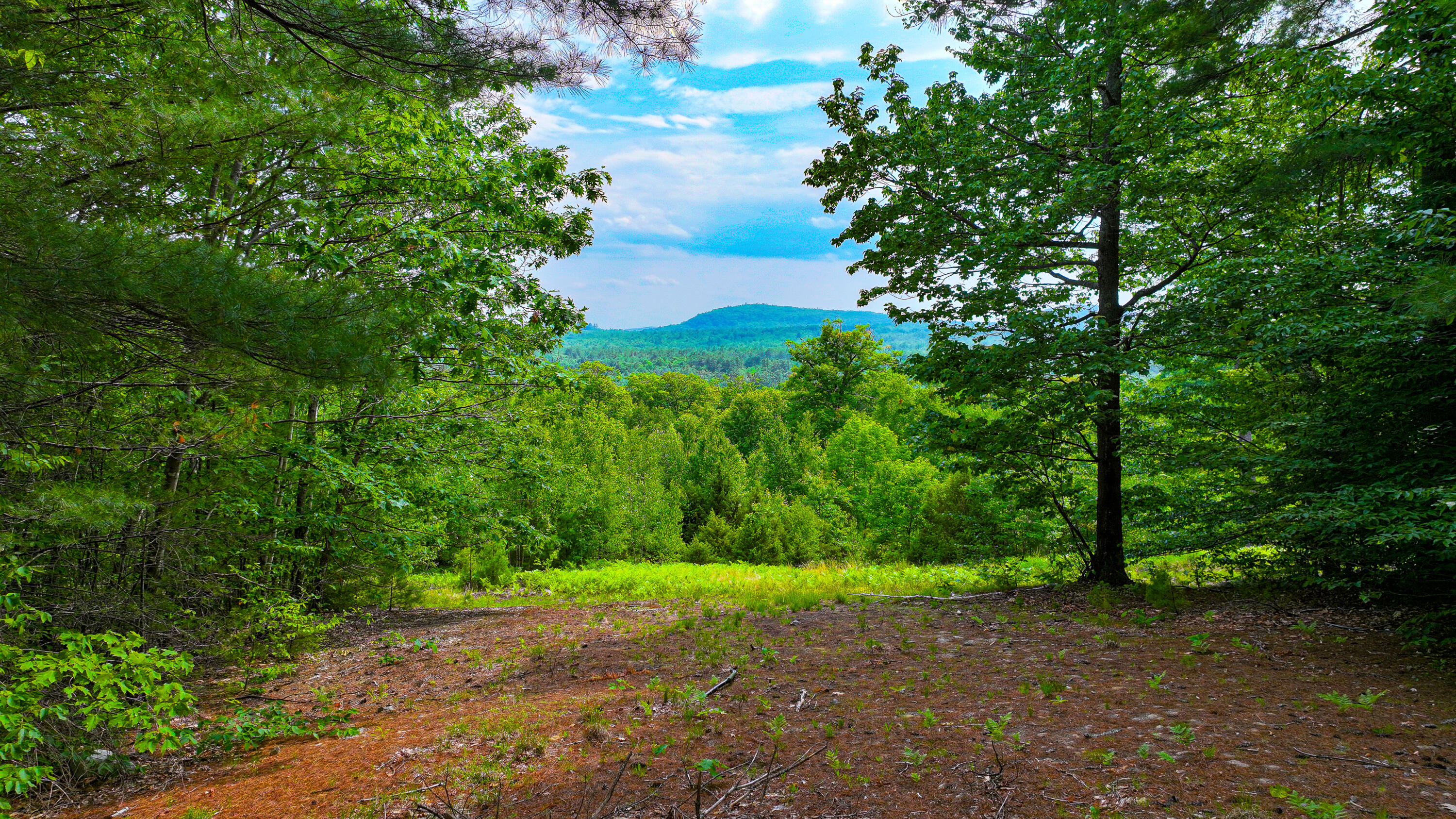 Lot 31B McDaniel's Drive Property Photo 1