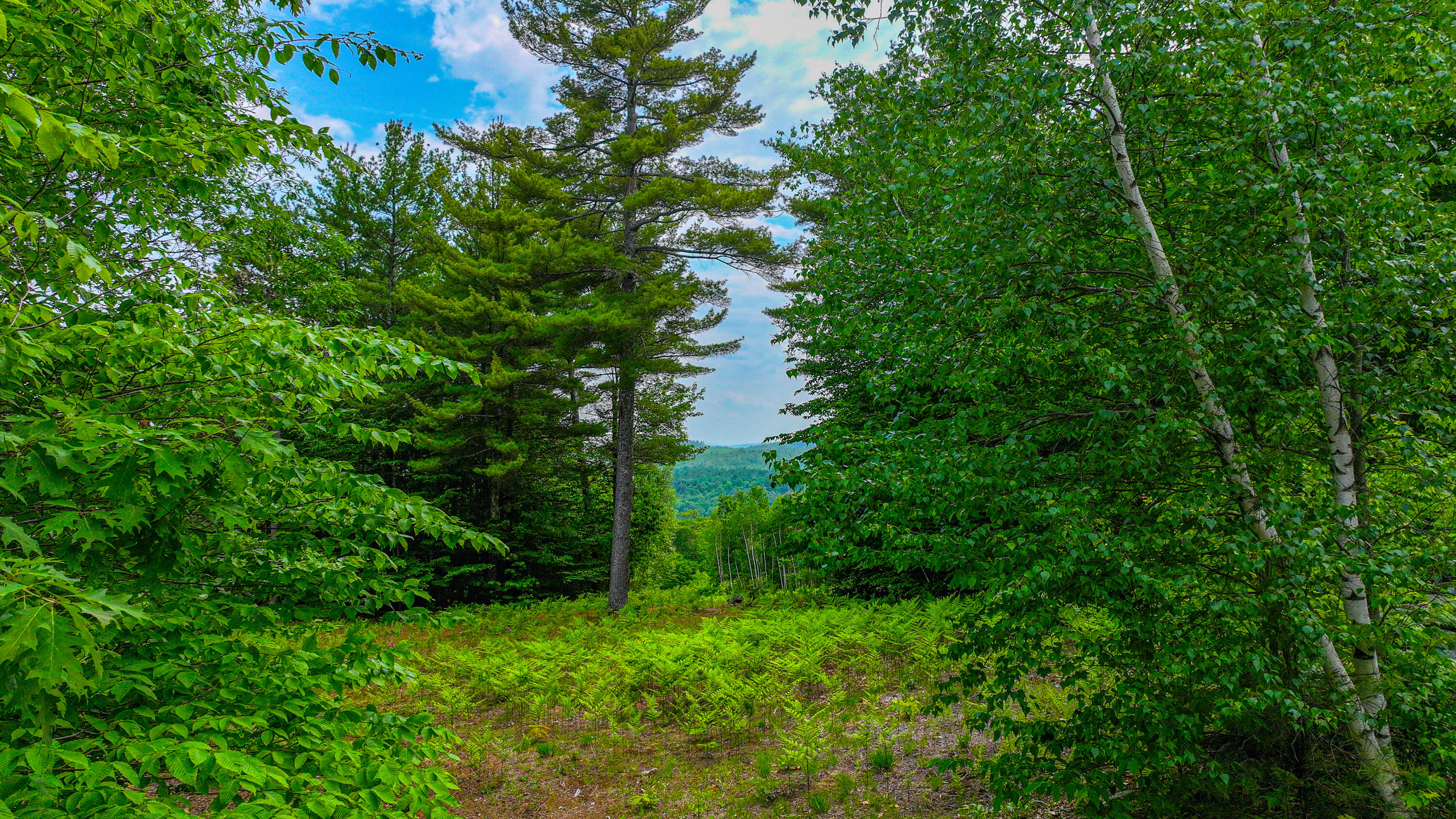 Lot 31c David Road Property Photo 2
