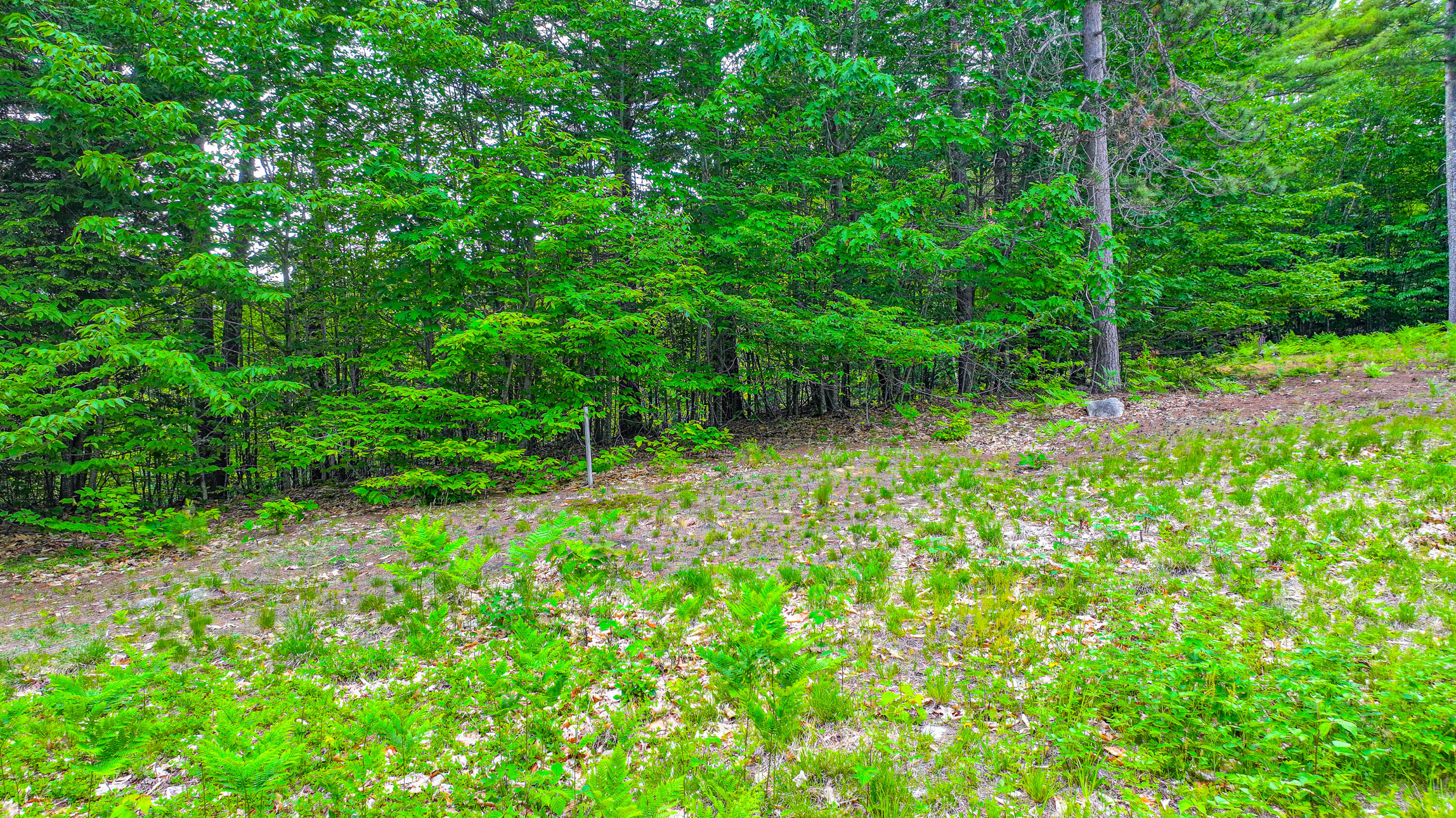 Lot 31c David Road Property Photo 10