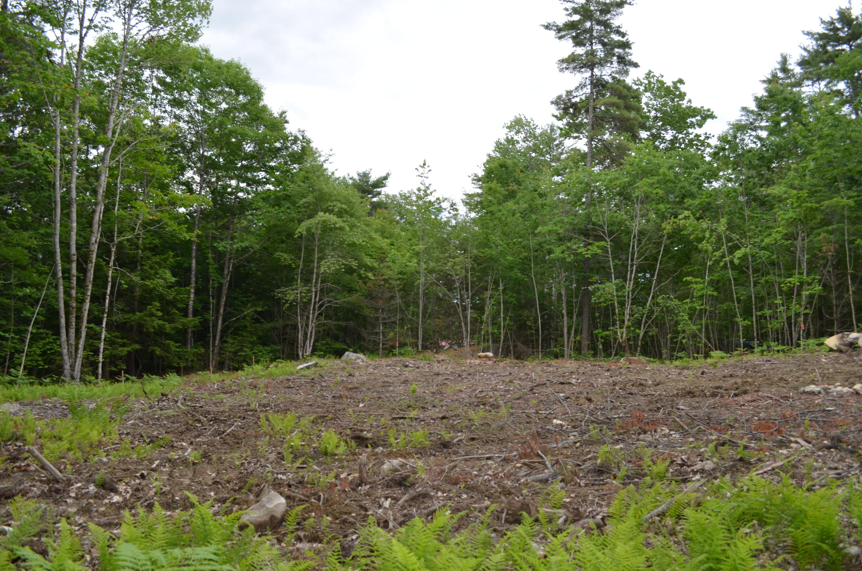 1 Heron Cove Road Property Photo 3
