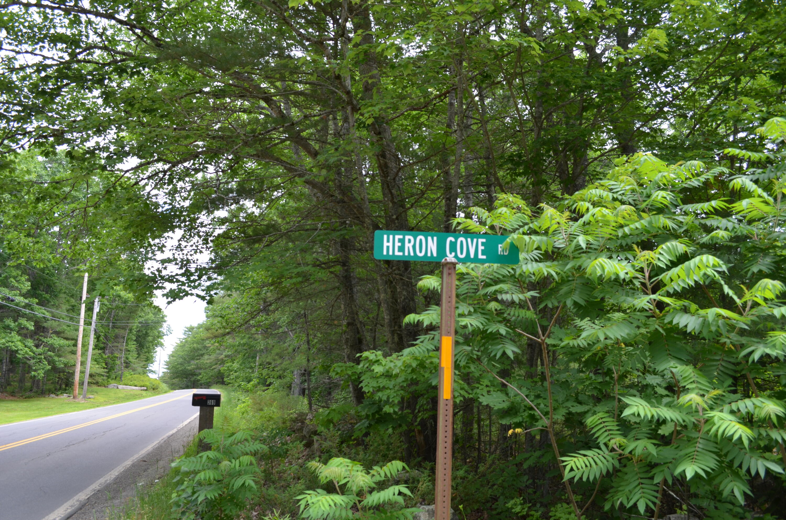 1 Heron Cove Road Property Photo 6