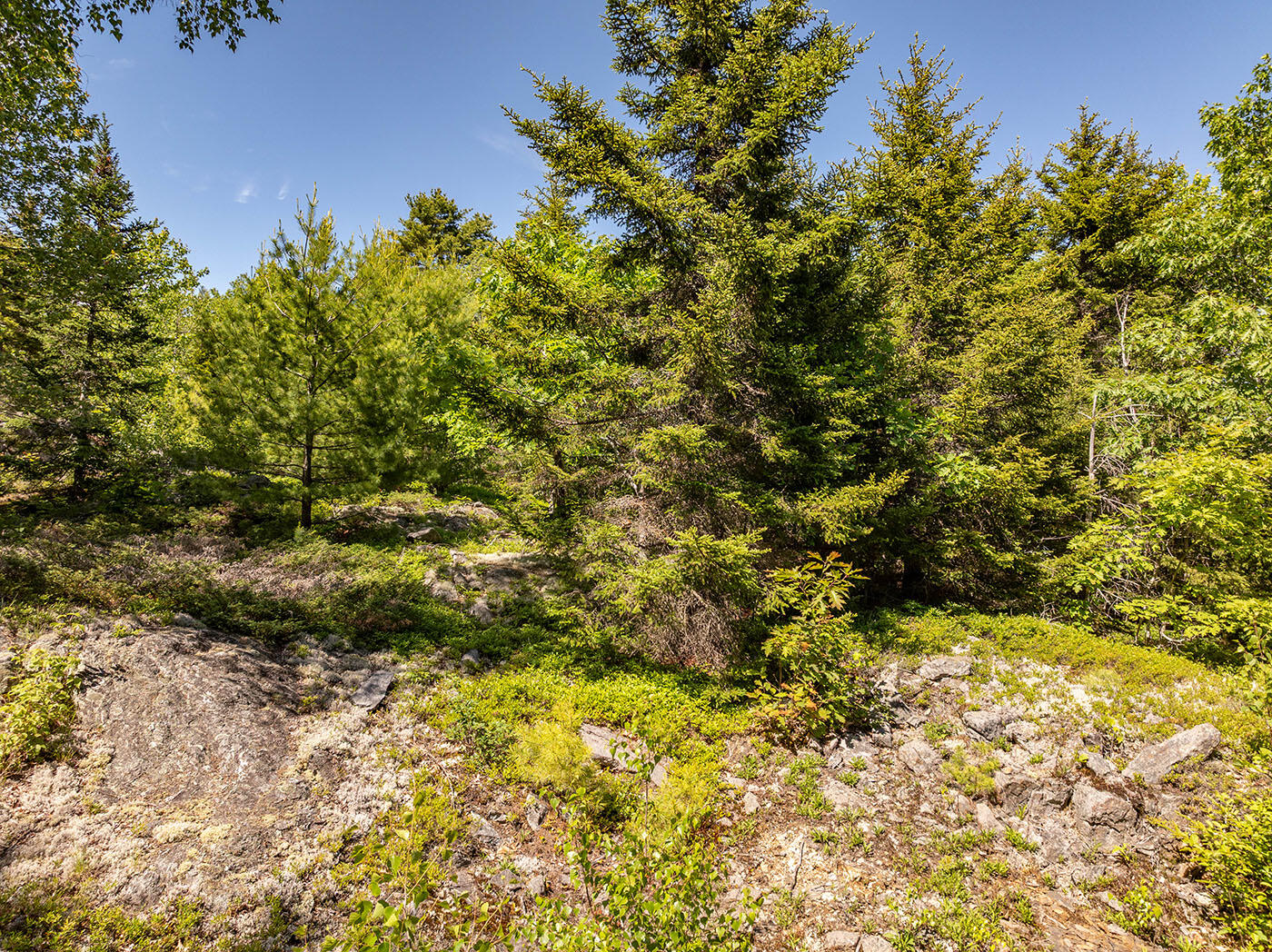 12-16 Atlantic Highway Property Photo 9