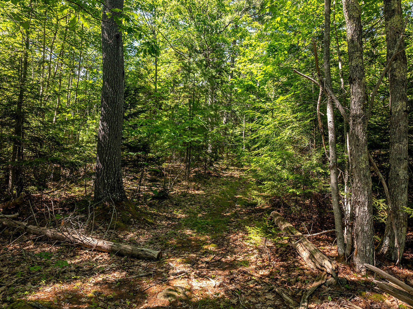 12-16 Atlantic Highway Property Photo 11