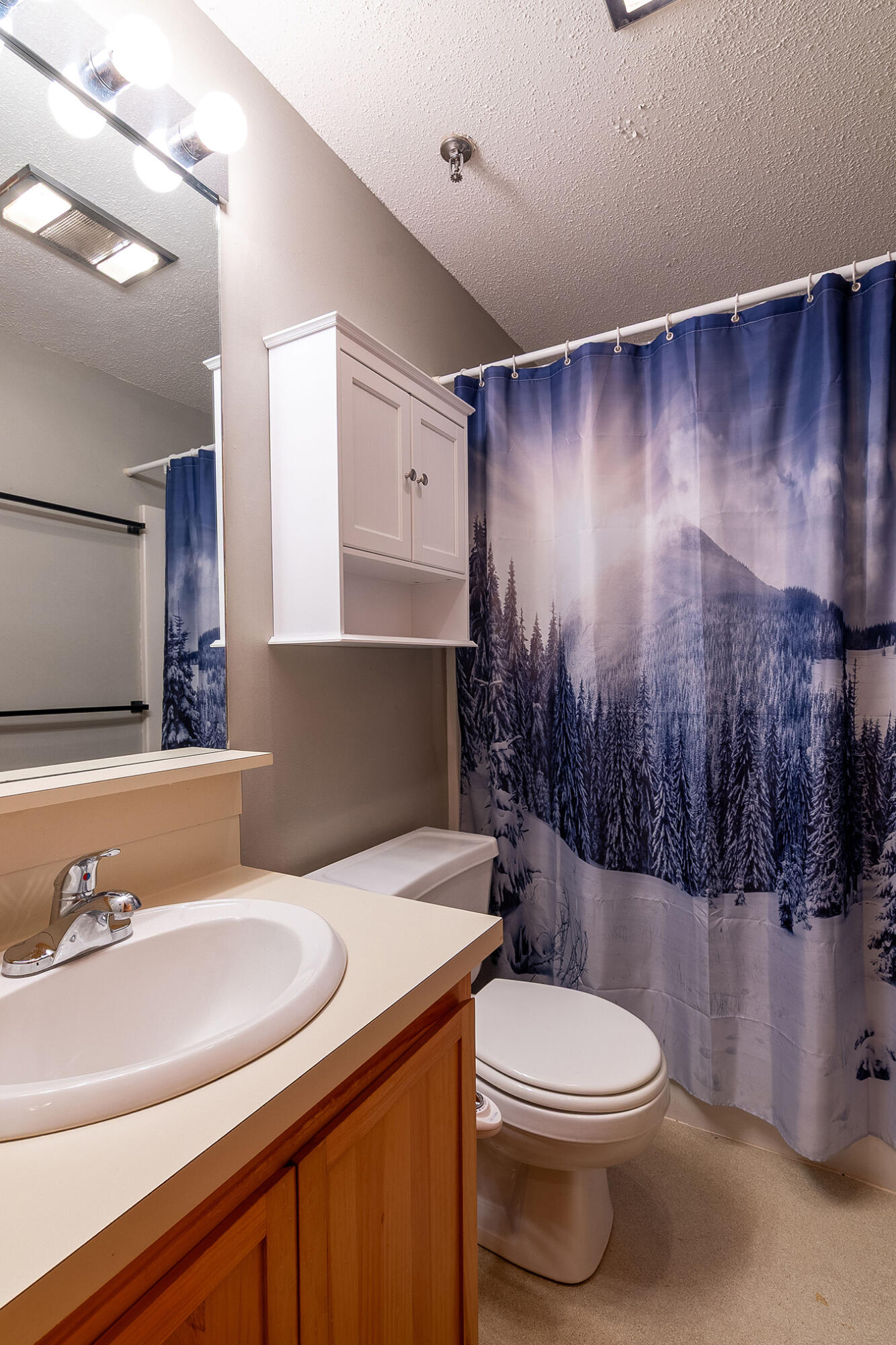 2527 Trout Brook Lane 2527 Property Photo 10