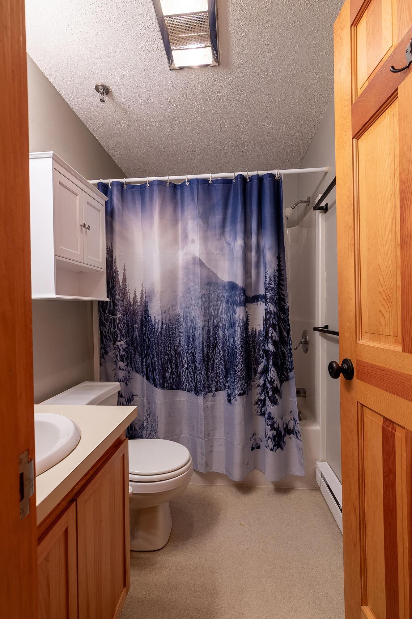 2527 Trout Brook Lane 2527 Property Photo 11