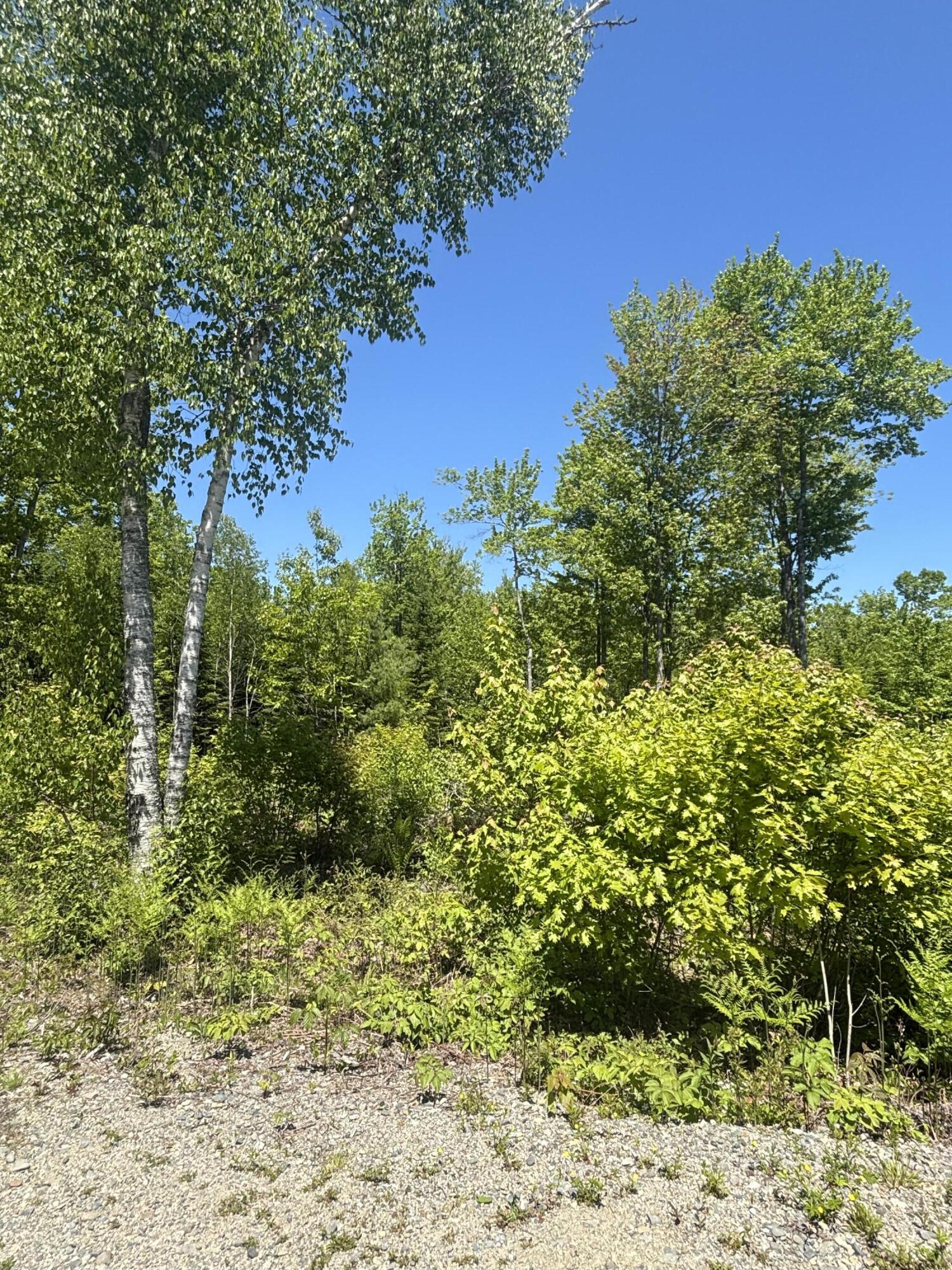 54 Poplar Lane Property Photo 3