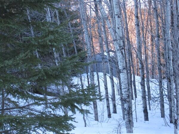 687 N Perley Brook Road Property Photo 6