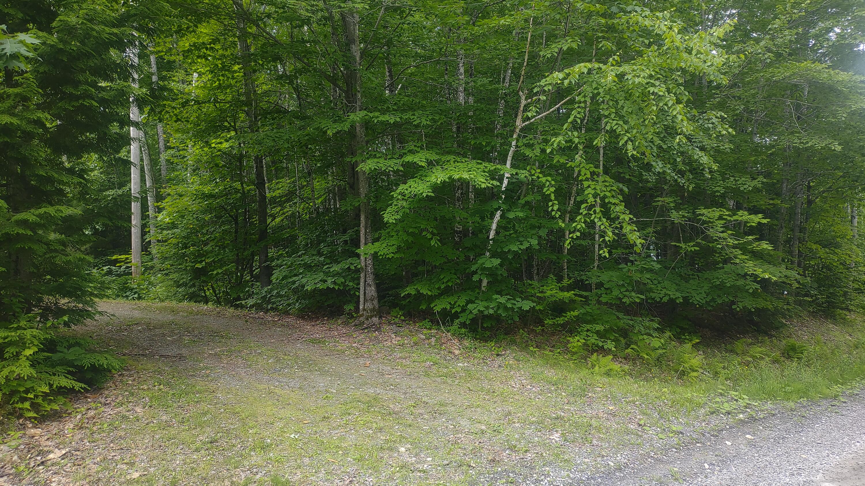 Tbd Stream Road Road Property Photo 1