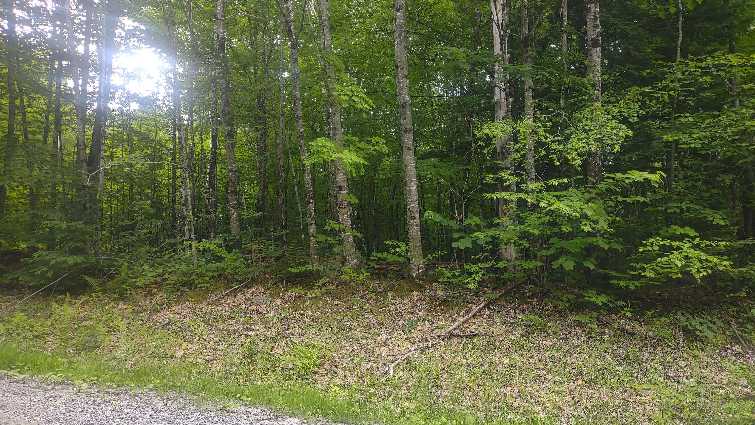 Tbd Stream Road Road Property Photo 2