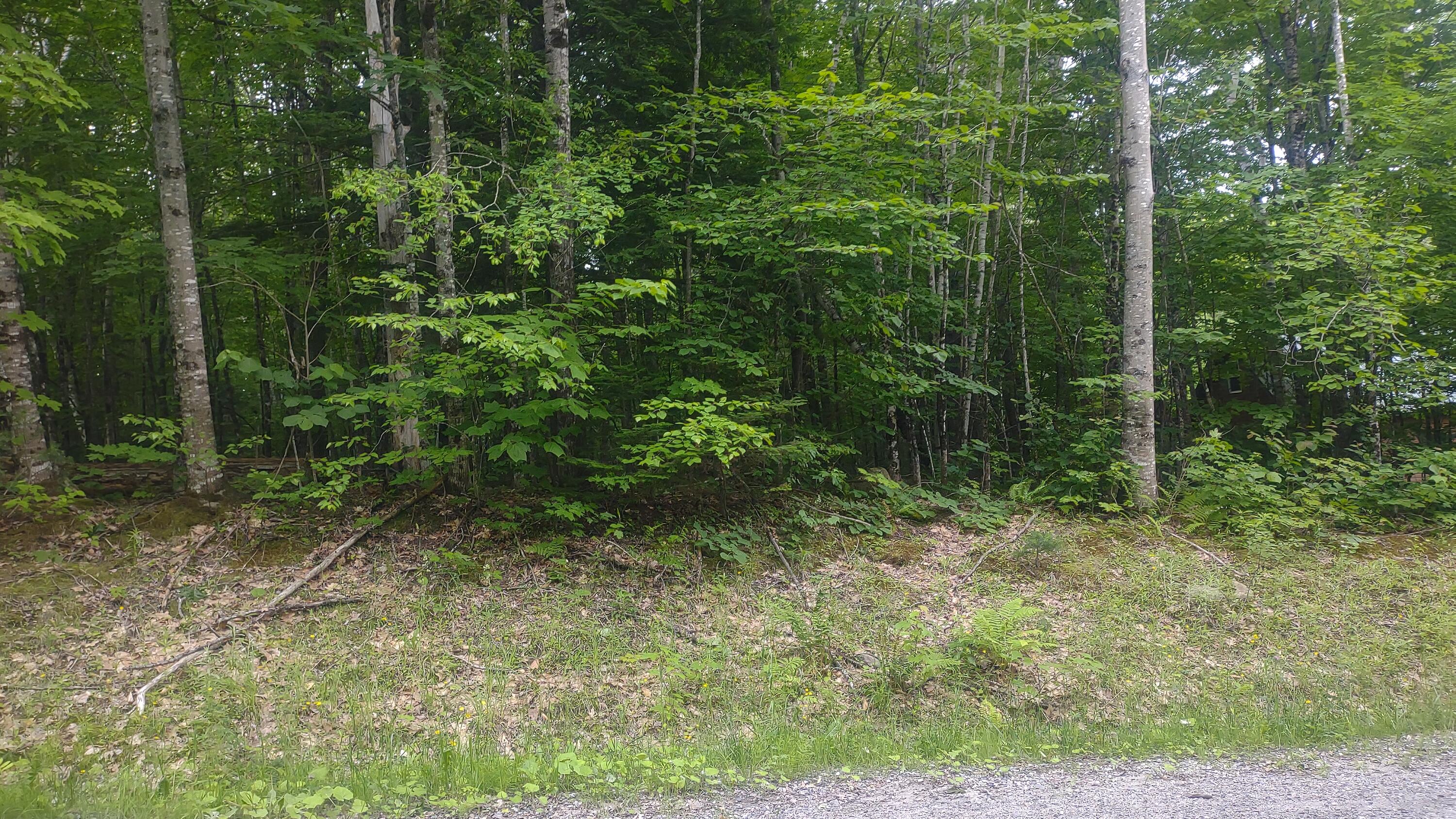 Tbd Stream Road Road Property Photo 3