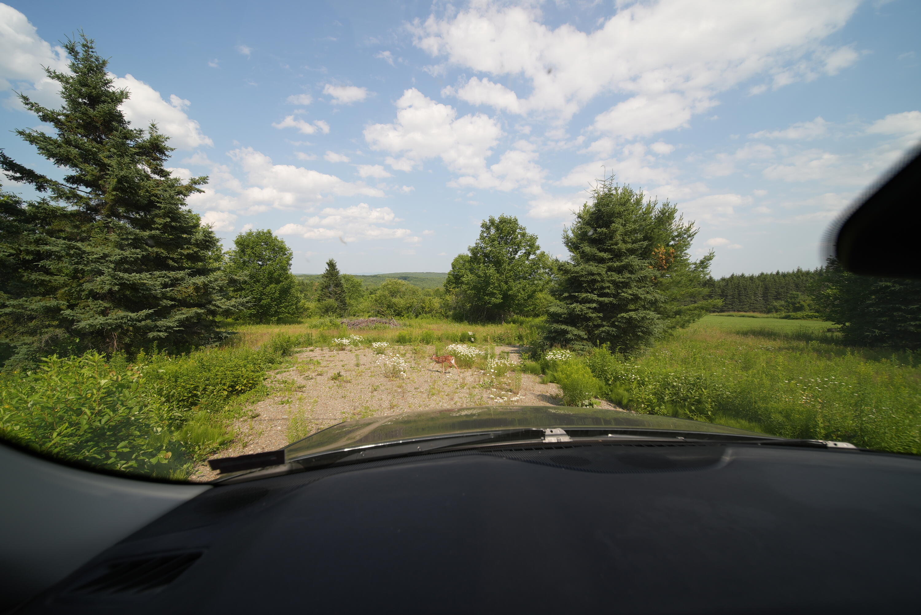 Lot 16-b Maine 11 Property Photo 5