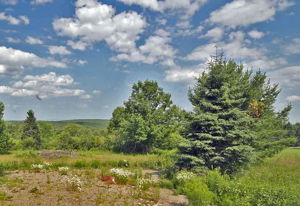 Lot 16-b Maine 11 Property Photo 6
