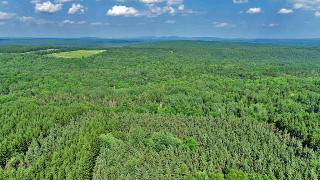 Lot 16-b Maine 11 Property Photo 15