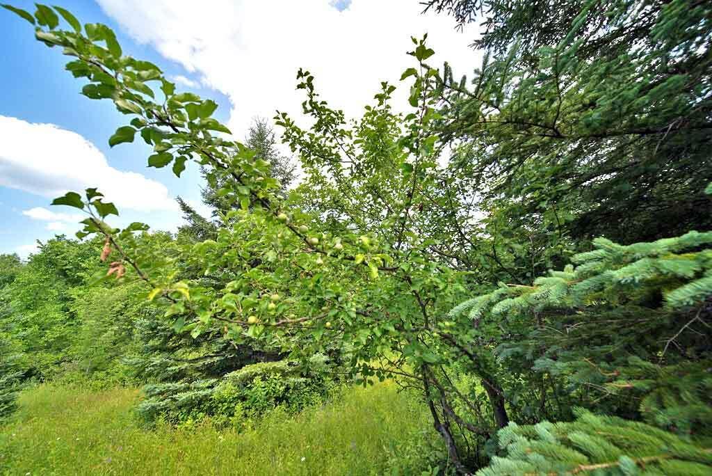 Lot 16-b Maine 11 Property Photo 35