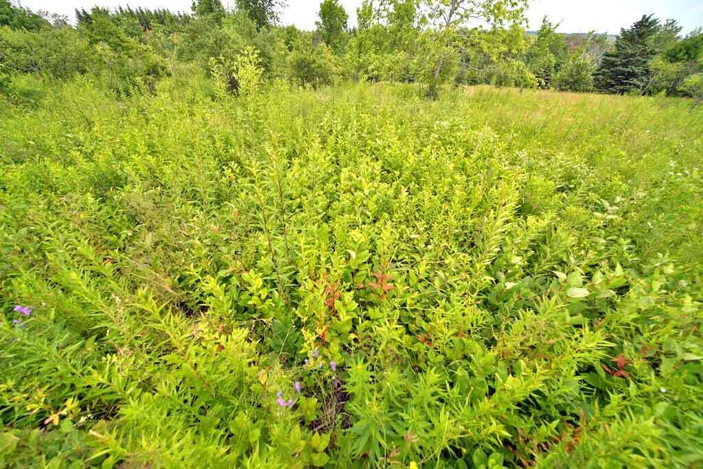 Lot 16-b Maine 11 Property Photo 37