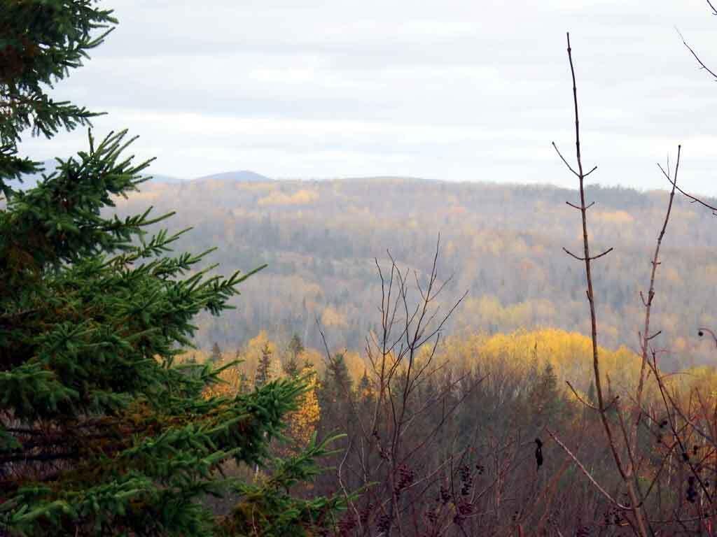Lot 16-b Maine 11 Property Photo 48