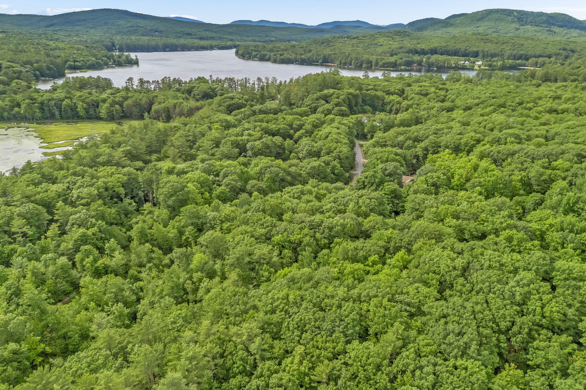 Lot 6 Forest Trail Drive Property Photo 3