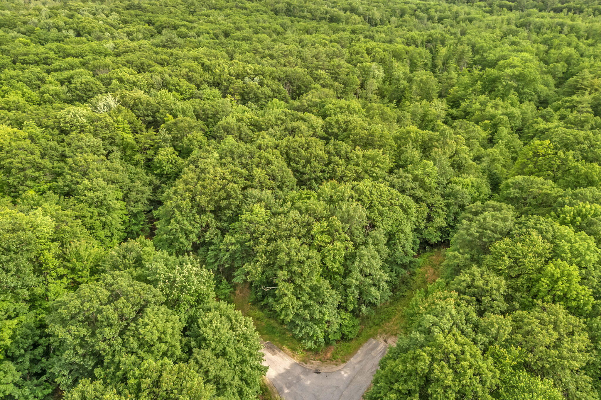 Lot 6 Forest Trail Drive Property Photo 5
