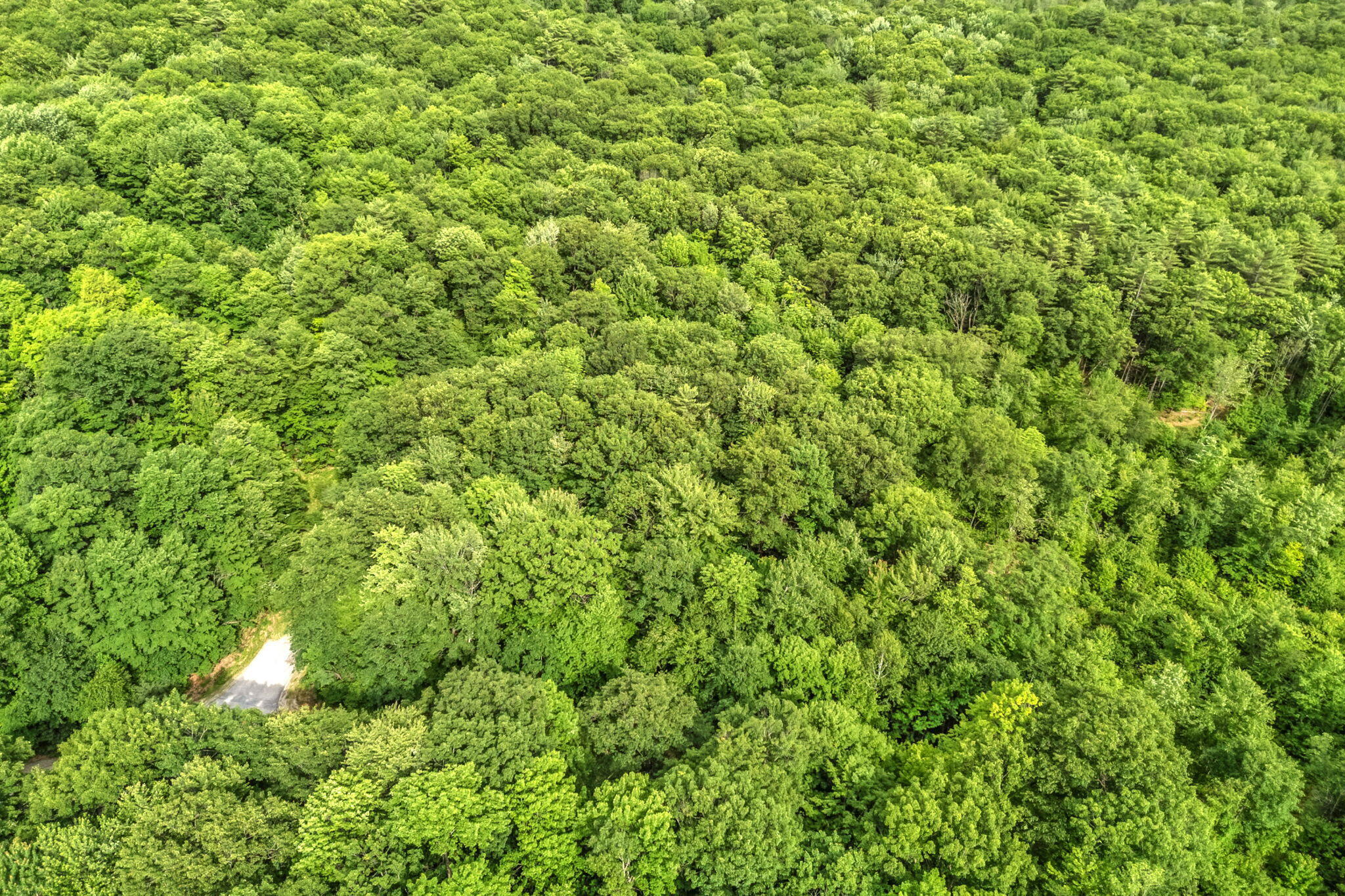 Lot 6 Forest Trail Drive Property Photo 6
