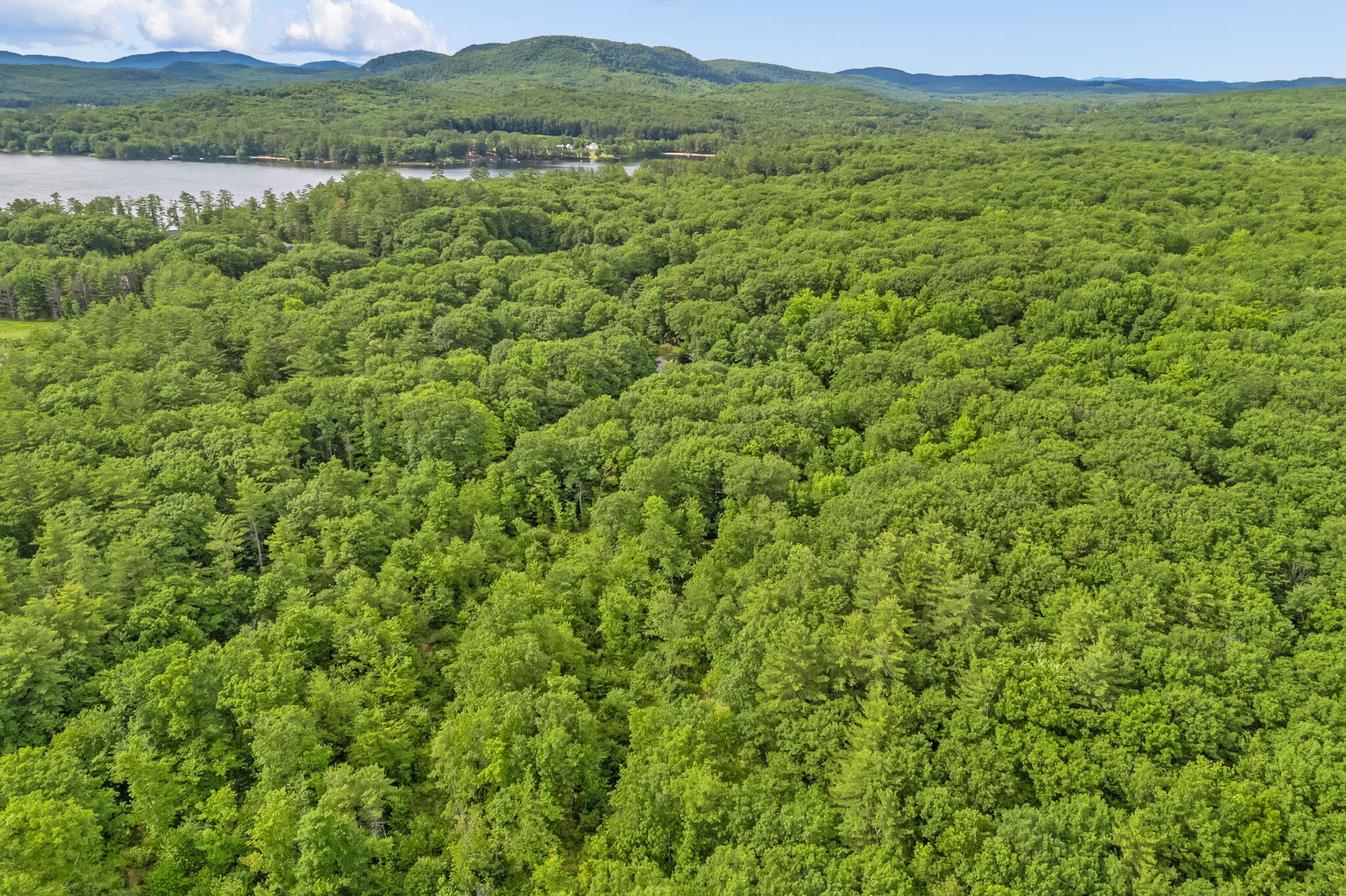 Lot 6 Forest Trail Drive Property Photo 7